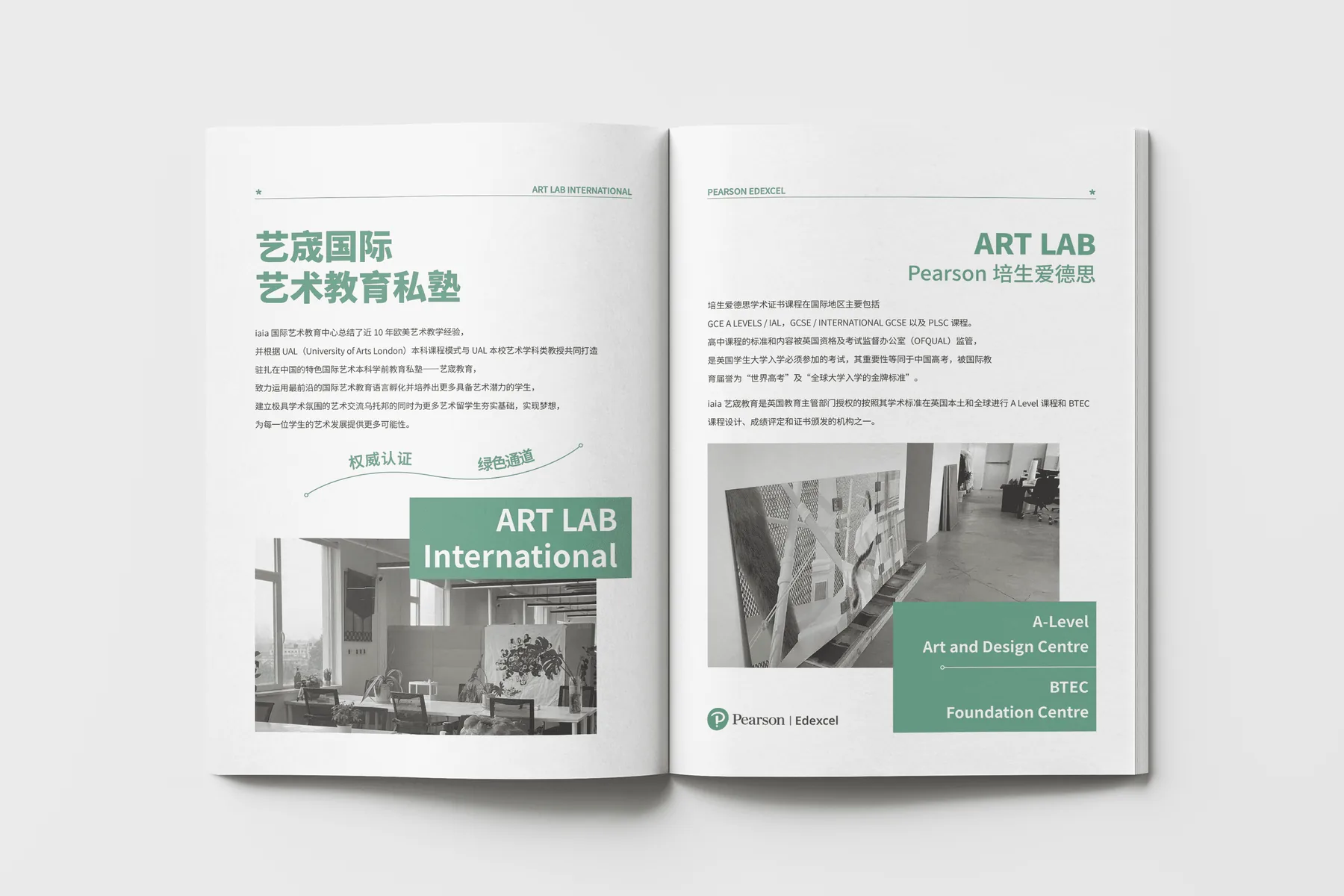 Artlab Brand Book 项目图 01