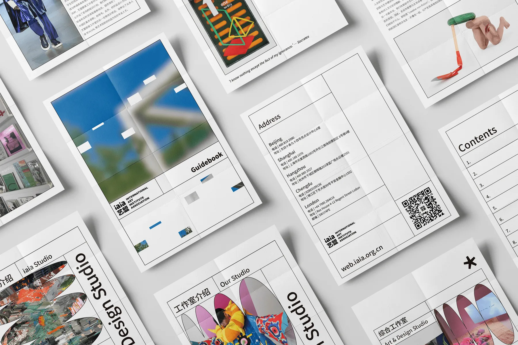 iaia Brand Book 项目图 02
