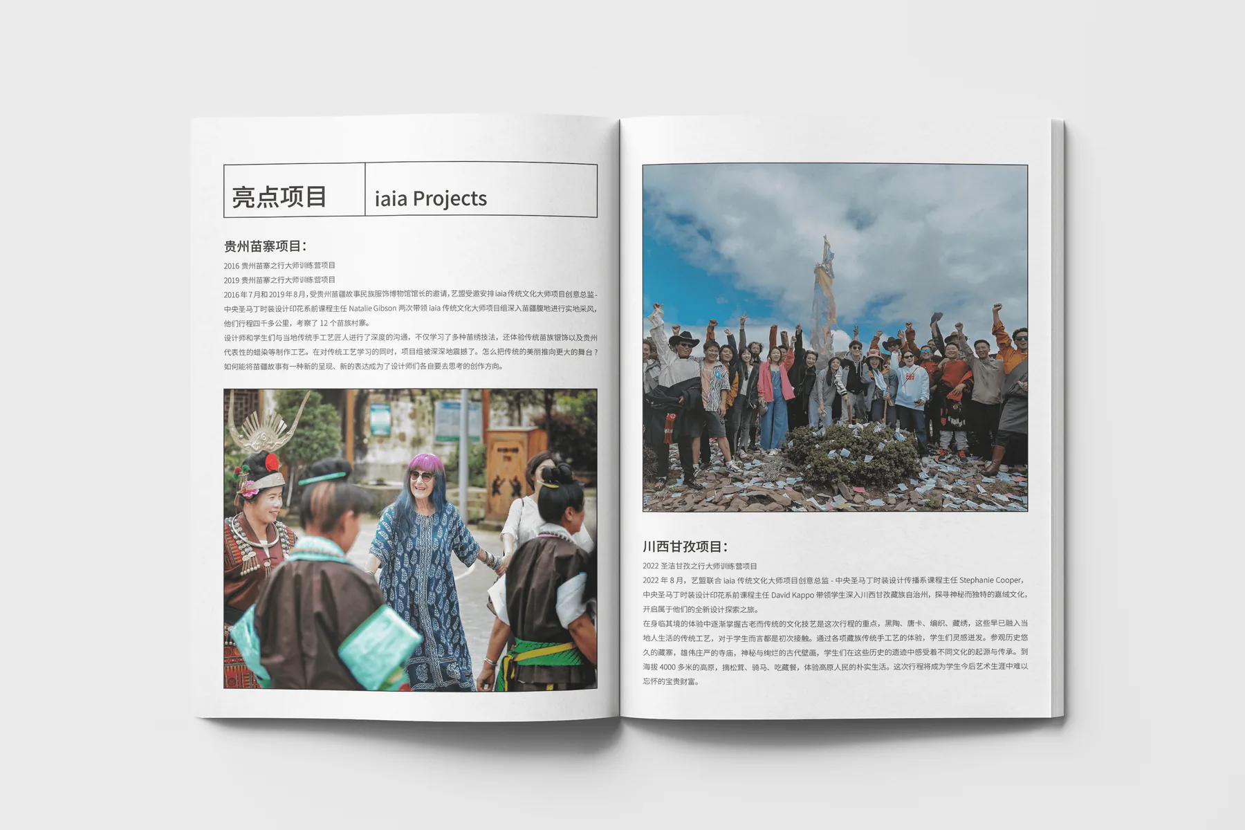 iaia Brand Book 项目图 03
