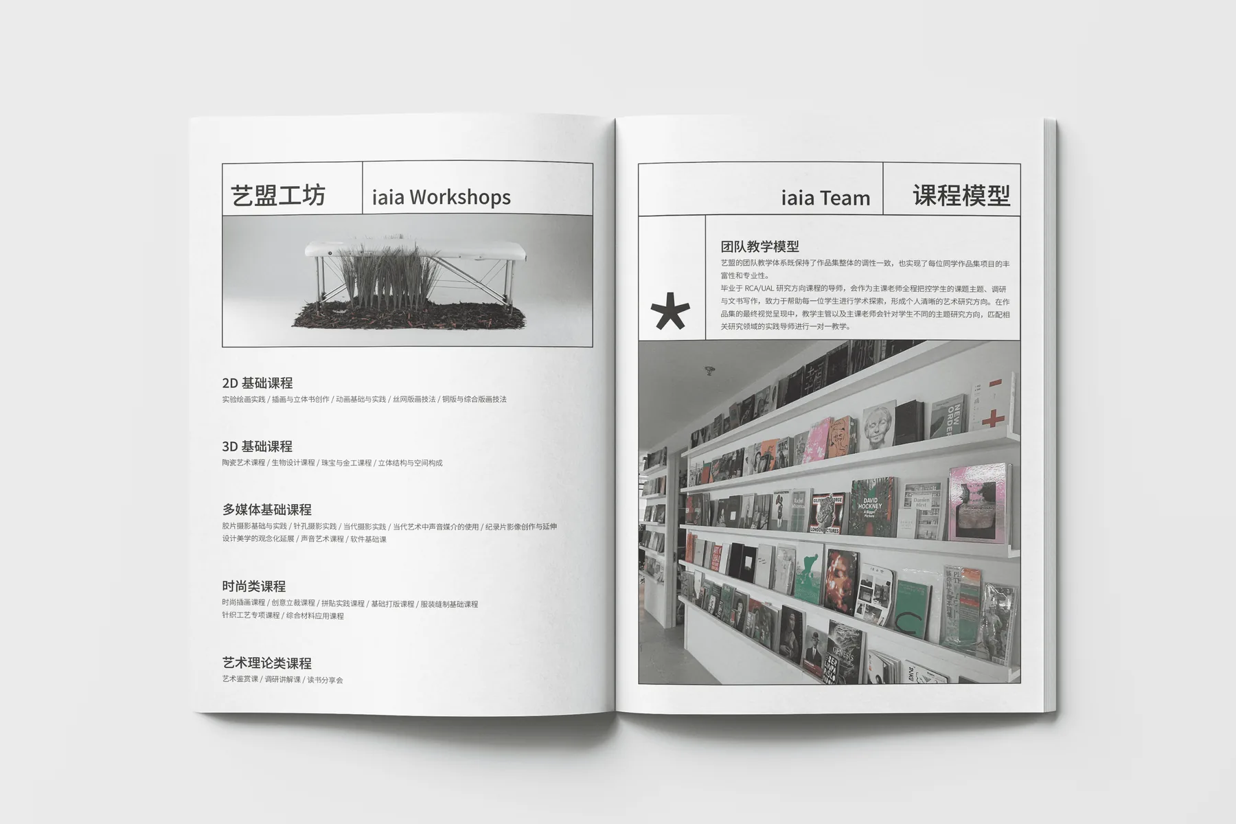 iaia Brand Book 项目图 04