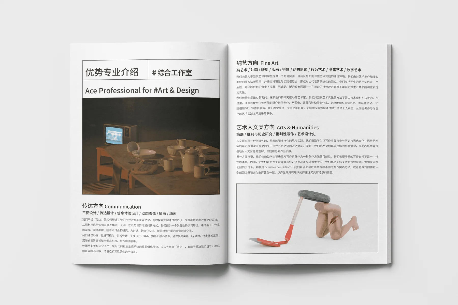 iaia Brand Book 项目图 06
