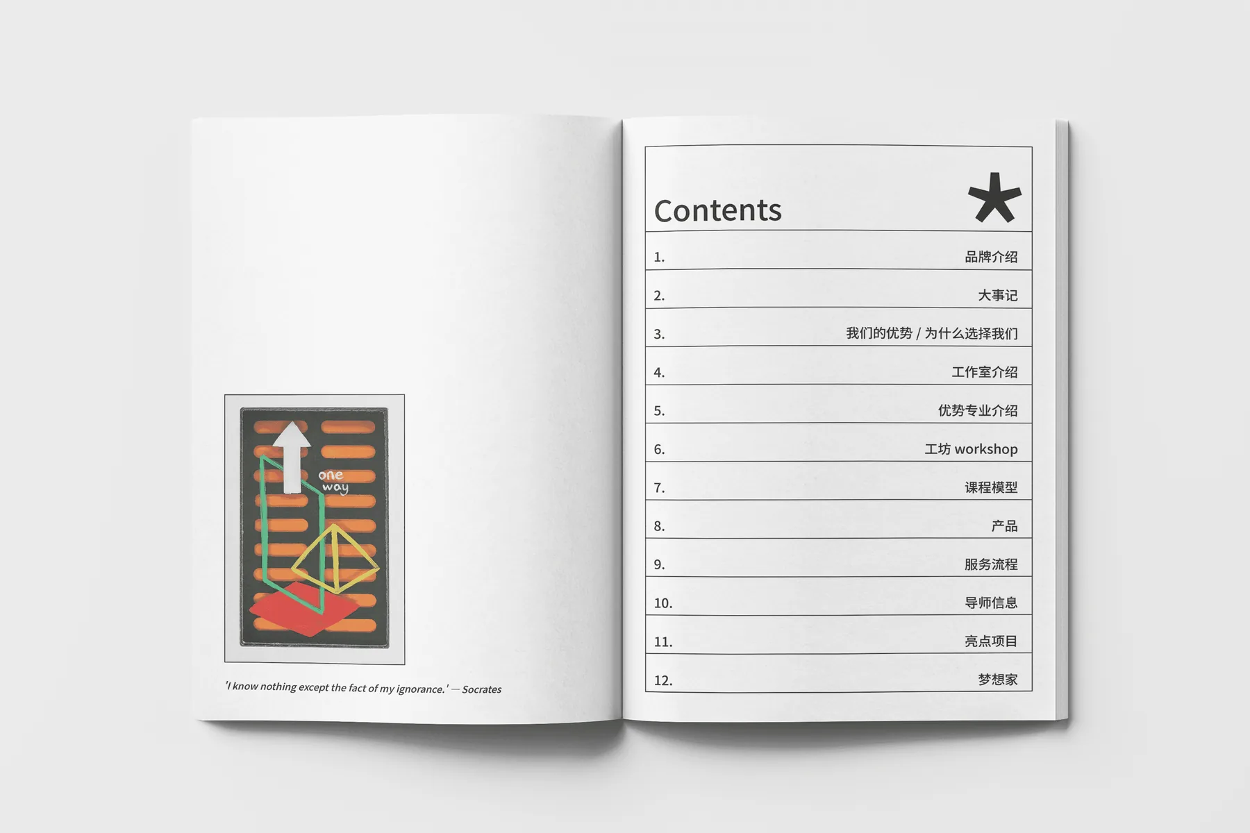iaia Brand Book 项目图 08